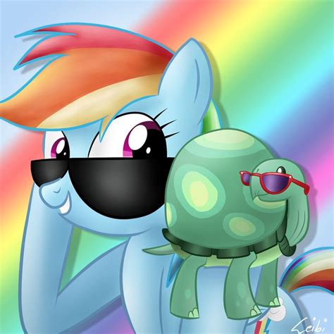 rainbow dash pet|rainbow dash pet turtle.